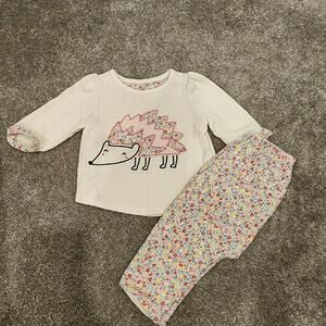 Gap Baby Girls Hedgehog Outfit Sz 6-12M